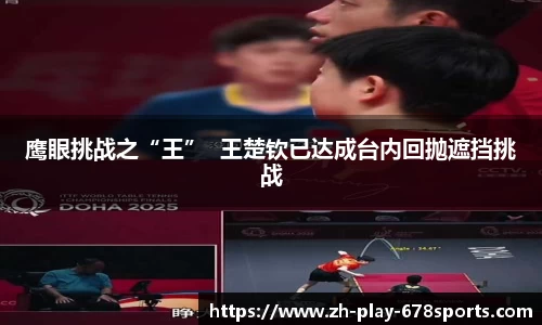 鹰眼挑战之“王”  王楚钦已达成台内回抛遮挡挑战